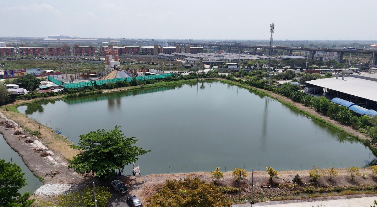 Empty land for sale in Bangna Km.29, total 11 rai 2 ngan 10 square wah, Bang Bo Subdistrict, Bang Bo District, Samut Prakan. – รูปที่ 2
