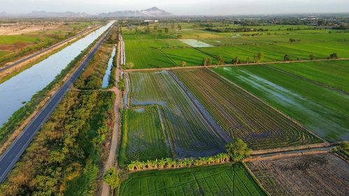 ที่นา 7 ไร่ แปลงสวย ติดคลองชลประทาน ที่นาแปลงจัดรูป มีน้ำใช้ทั้งปี น้ำไม่ท่วม ตำบลบ้านกลับ อำเภอหนองโดน จังหวัดสระบุรี