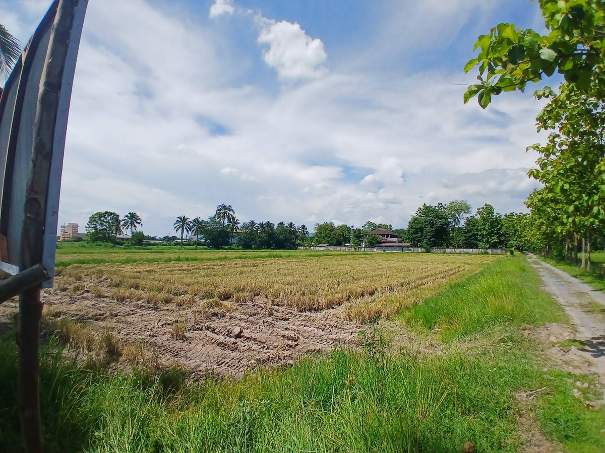 Land for sale in Chiang Mai near Maejo University