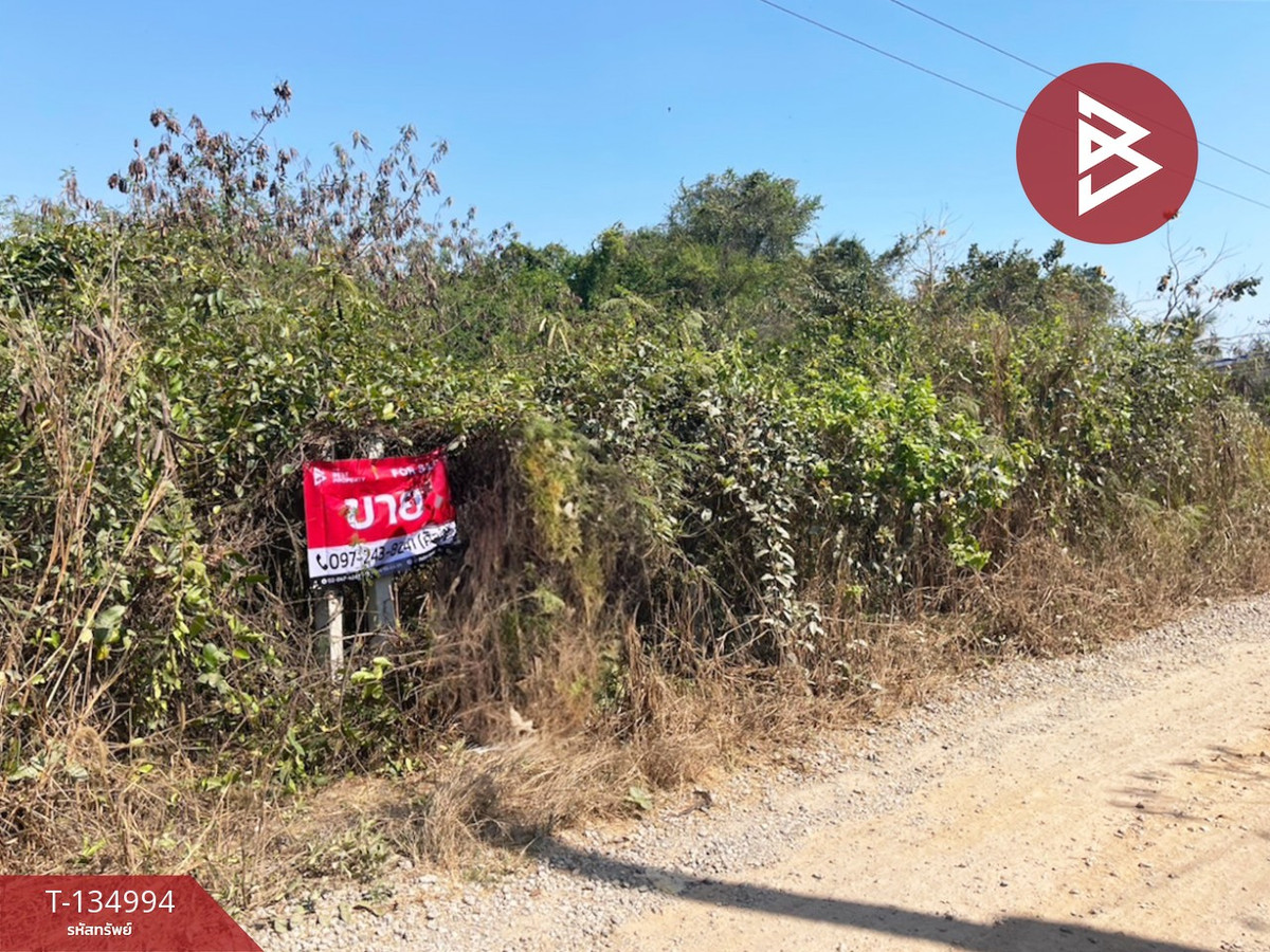 ขายที่ดิน เนื้อที่ 90.6 ตร.วา ตะพง ระยอง – รูปที่ 2