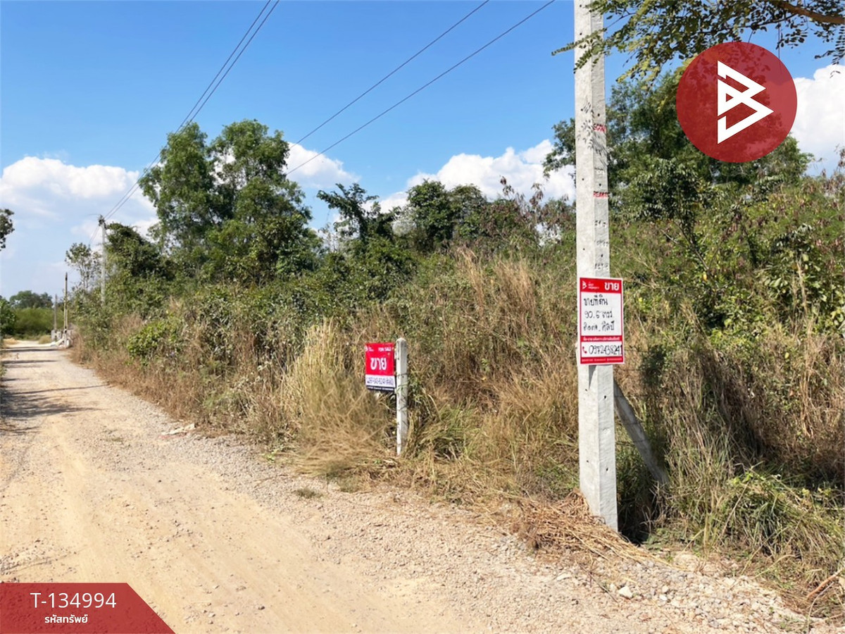 ขายที่ดิน เนื้อที่ 90.6 ตร.วา ตะพง ระยอง ขายที่ดิน เนื้อที่ 90.6 ตร.วา ตะพง ระยอง