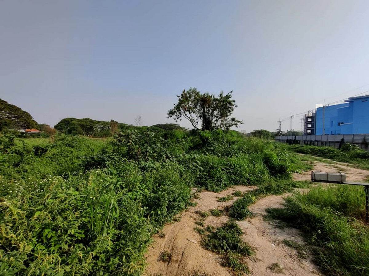 Land for sale in Mueang Chiang Mai District—near the airport. (Near Makro - HomePro - BigC - Lotuss shopping center, within 2-3 Km.) 39-2-13 rai, suitable for a housing development. #Front next to the main road, entrance width 16 m. – รูปที่ 4
