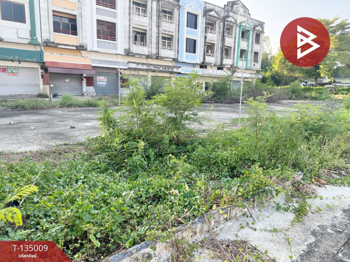 ขายที่ดิน เนื้อที่ 1 งาน 60 ตร.วา บ้านฉาง ระยอง – รูปที่ 2