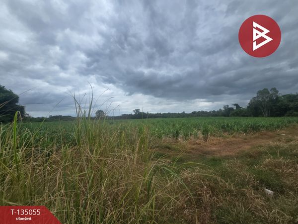 Land for sale, area 28 rai 2 ngan 69.4 sq m, Tha Yang, Phetchaburi.