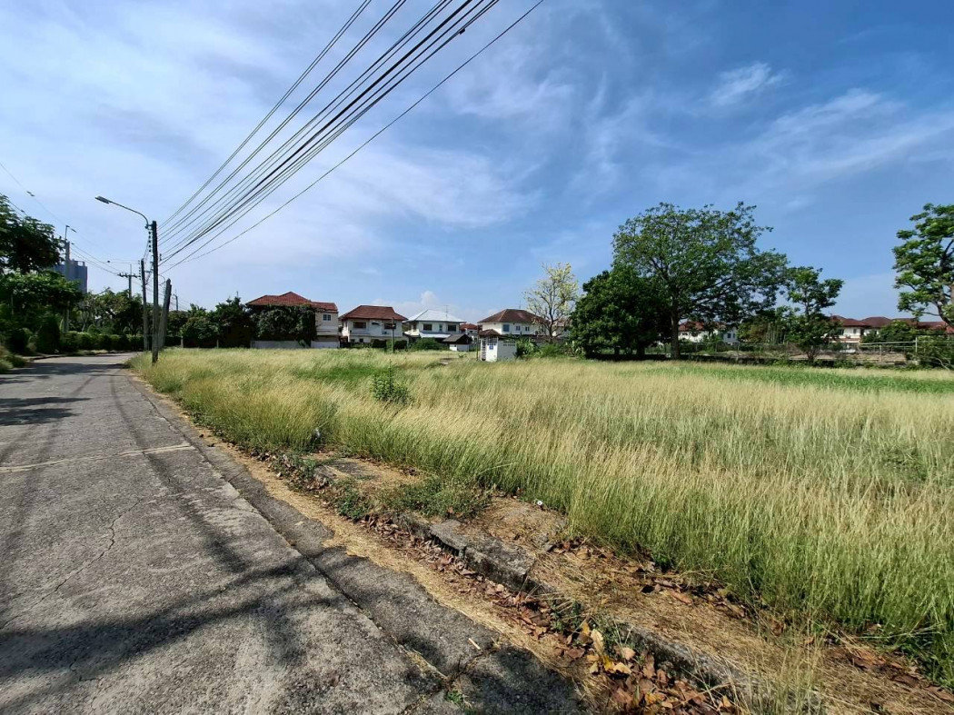 ขาย ที่ดิน หมู่บ้านมณียา ไทรม้า 239 ตรว ใกล้ถ.รัตนาธิเบศร์แค่ 1 กม. DD – รูปที่ 3