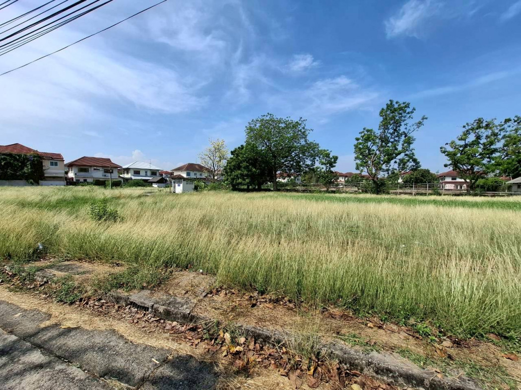 ขาย ที่ดิน หมู่บ้านมณียา ไทรม้า 239 ตรว ใกล้ถ.รัตนาธิเบศร์แค่ 1 กม. DD – รูปที่ 4