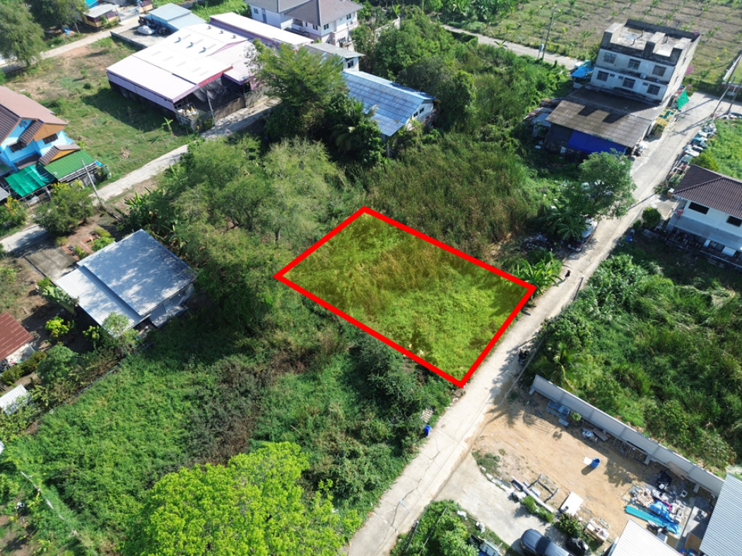 ขายถูกมาก ที่ดิน ซ.เลียบคลองบางพรหม 114 ตรว ใกล้ ถนนพุทธมณฑลสาย 3 แค่ 950 ม. DD