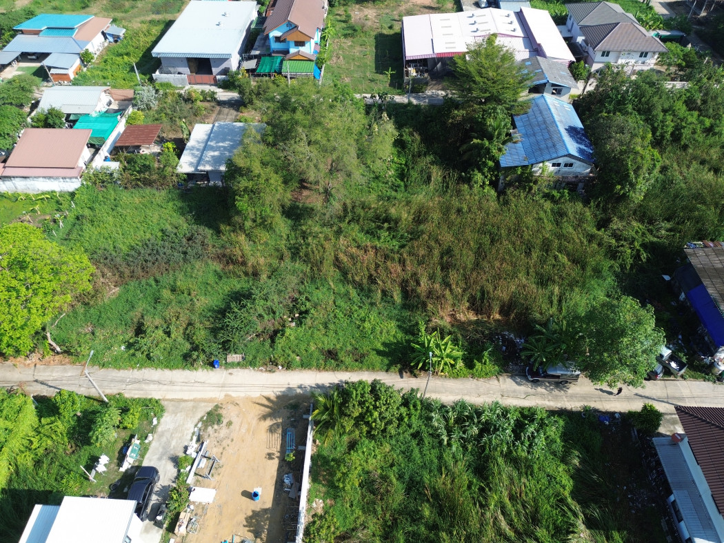 ขายถูกมาก ที่ดิน ซ.เลียบคลองบางพรหม 114 ตรว ใกล้ ถนนพุทธมณฑลสาย 3 แค่ 950 ม. DD – รูปที่ 4
