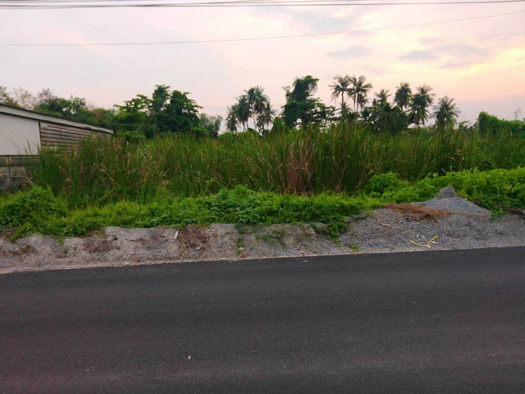 Land for sale, pink zone, 3 rai 3 ngan 96 square wah, near Central Salaya. – รูปที่ 2