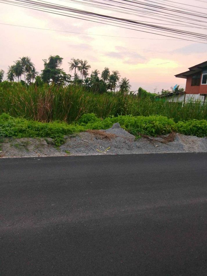 Land for sale, pink zone, 3 rai 3 ngan 96 square wah, near Central Salaya. – รูปที่ 3