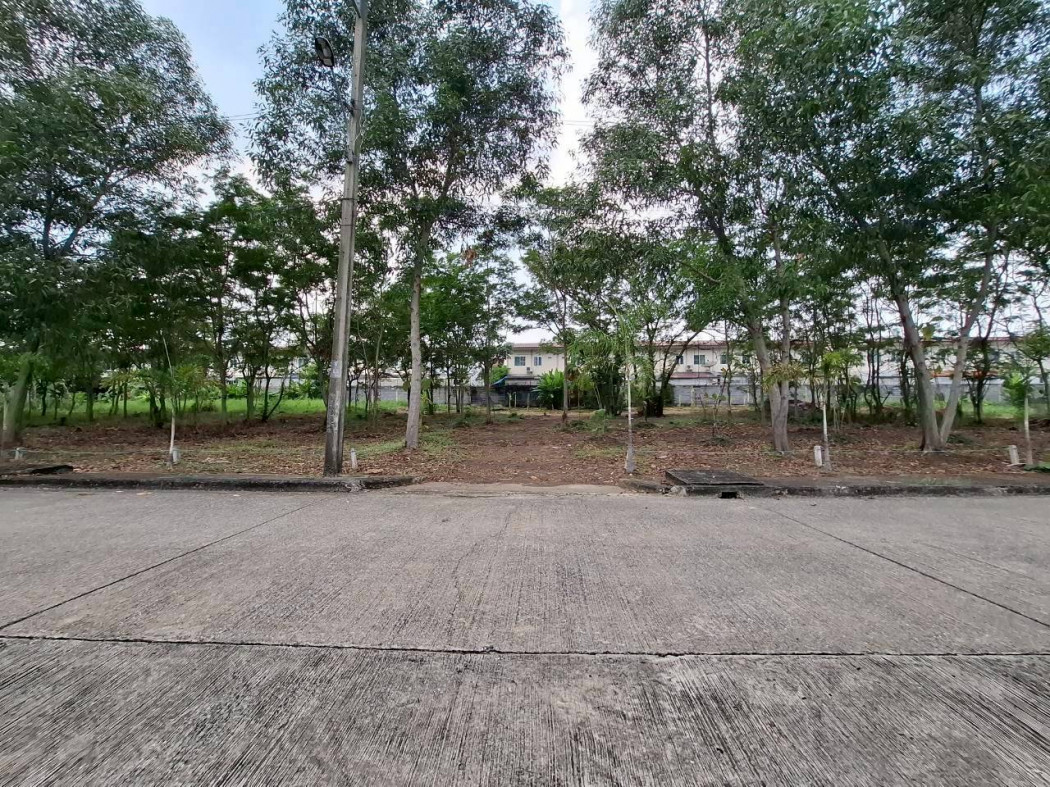 Land for sale in Forest Park project, 176 sq.wa, near Klong Two Road, only 400 m away. DD – รูปที่ 4
