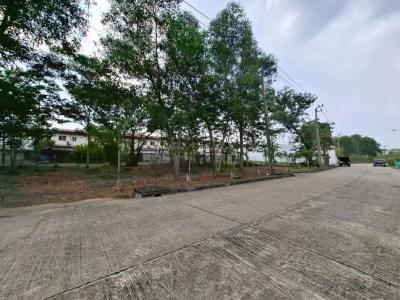 ขาย ที่ดิน โครงการฟอเรสปาร์ค 176 ตรว ใกล้ถ.เลียบคลองสอง แค่ 400 ม. DD