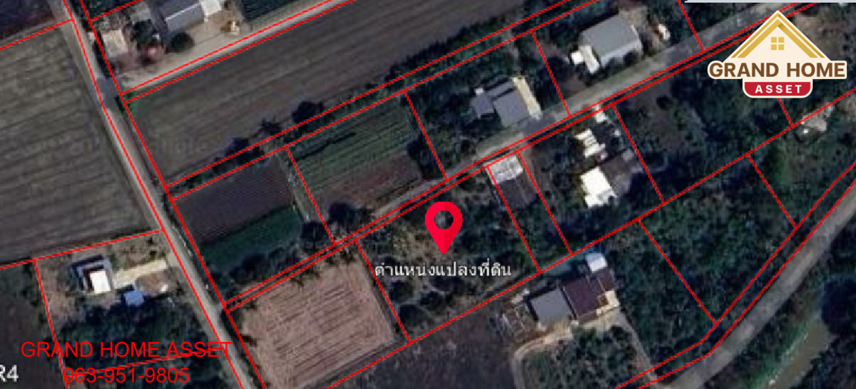 ขายที่ดินสวนผลไม้ ต.พงตึก อ.ท่ามะกา จ.กาญจนบุรี – รูปที่ 2