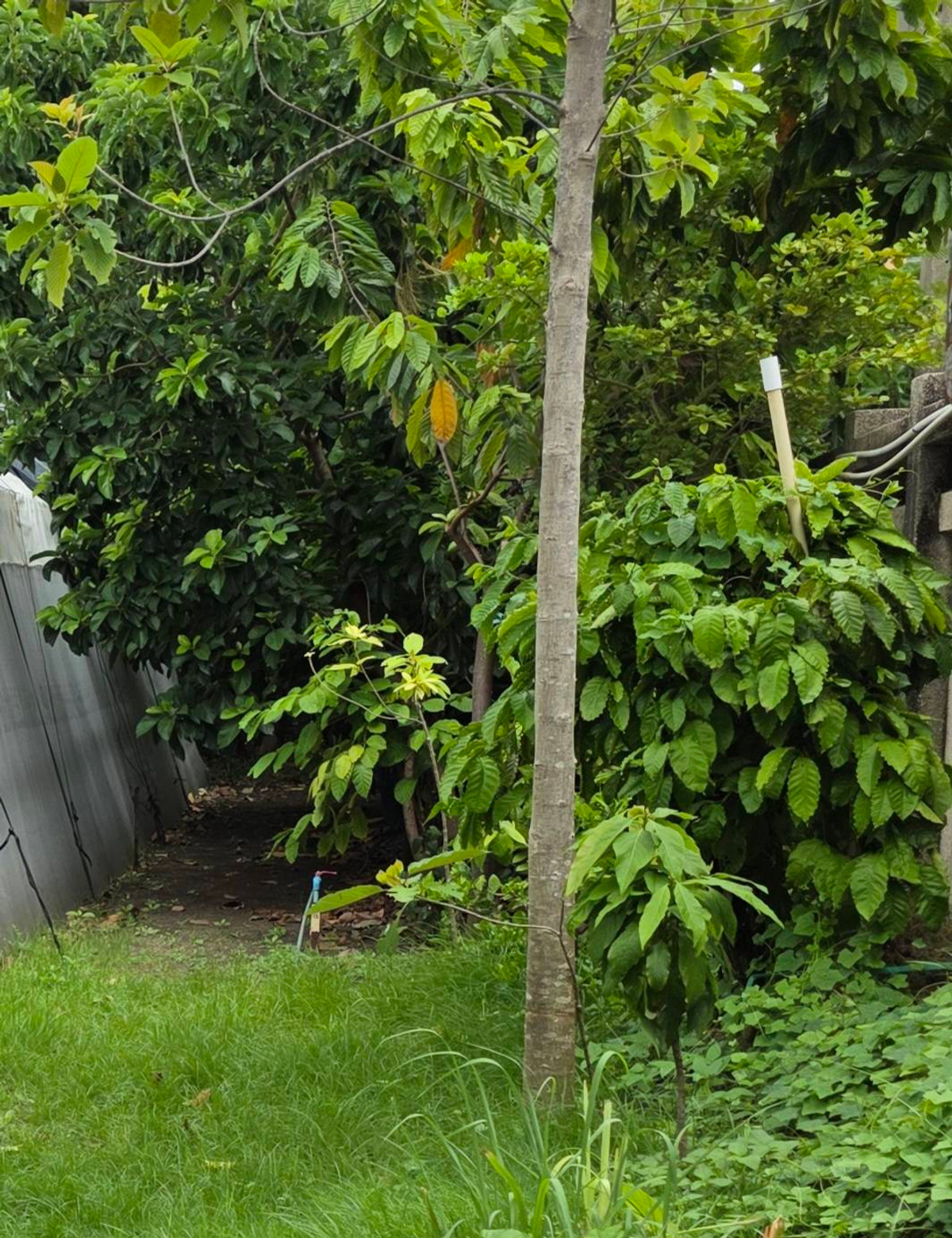 ขายที่ดิน 1 ไร่ ซอยสุขุมวิท64 พร้อมบ้านสิ่งปลูกสร้างเดิม ติดถนนสองด้าน ที่สวยแปลงสี่เหลี่ยม ไฟฟ้า ประปาพร้อมใช้ เดินทางสะดวก ใก้ลBTSปุณณวิถี ทางด่วน ทรูดิจิตอลพาร์ค ขายที่ดิน 1 ไร่ ซอยสุขุมวิท64 พร้อมบ้านสิ่งปลูกสร้างเดิม ติดถนนสองด้าน ที่สวยแปลงสี่เหลี่ยม ไฟฟ้า ประปาพร้อมใช้ เดินทางสะดวก ใก้ลBTSปุณณวิถี ทางด่วน ทรูดิจิตอลพาร์ค