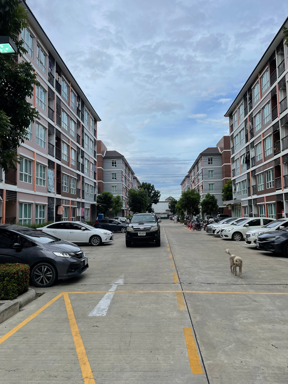 คอนโดไมอามี่บางปูตึก29 – รูปที่ 2
