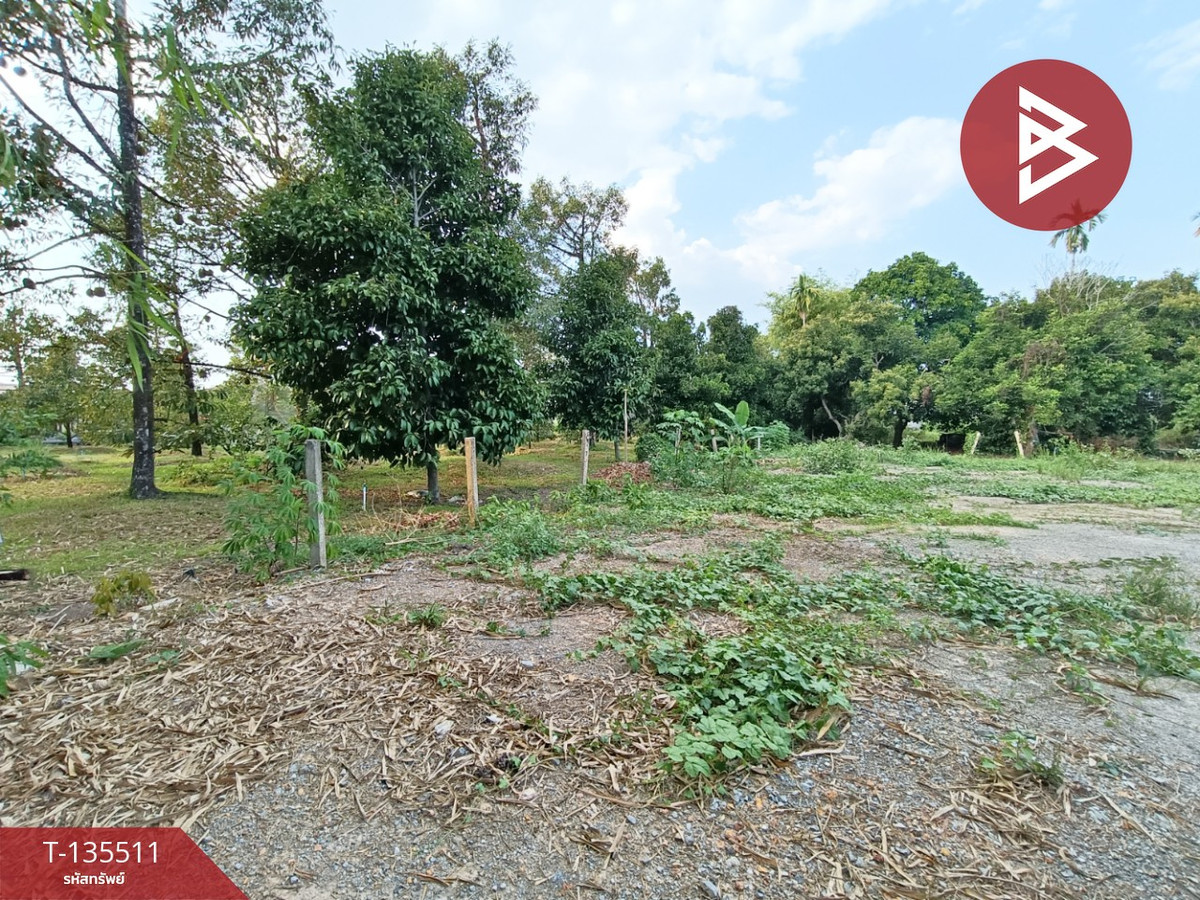 Land for sale, area 4 rai 2 ngan 18.9 sq m, Phlapphla, Chanthaburi. – รูปที่ 3