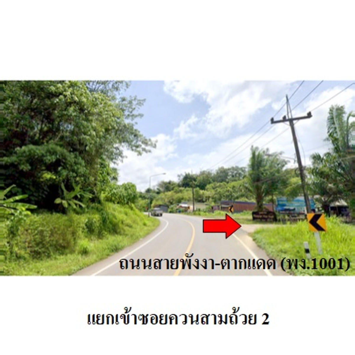Land for sale, Mueang Phang Nga District. – รูปที่ 3