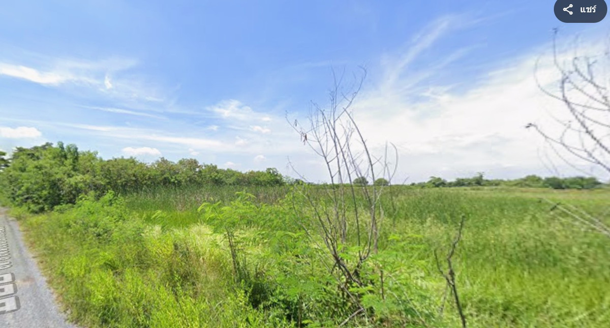 Land for sale, Soi Welfare Land, size 305 sq m, Khlong Sip, Nong Chok, quiet location, good atmosphere. Land for sale, Soi Welfare Land, size 305 sq m, Khlong Sip, Nong Chok, quiet location, good atmosphere.