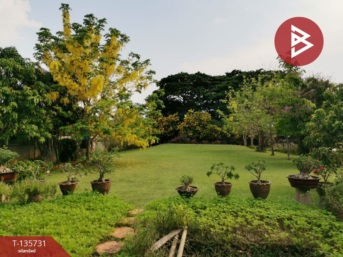 ขายที่ดิน เนื้อที่ 3 งาน 55.6 ตร.วา ต.ในเมือง ลำพูน – รูปที่ 4