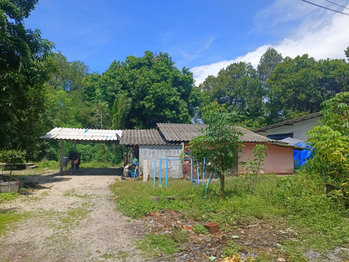 BB 15447 :  นอกโครงการสุราษฎร์ธานี – รูปที่ 4