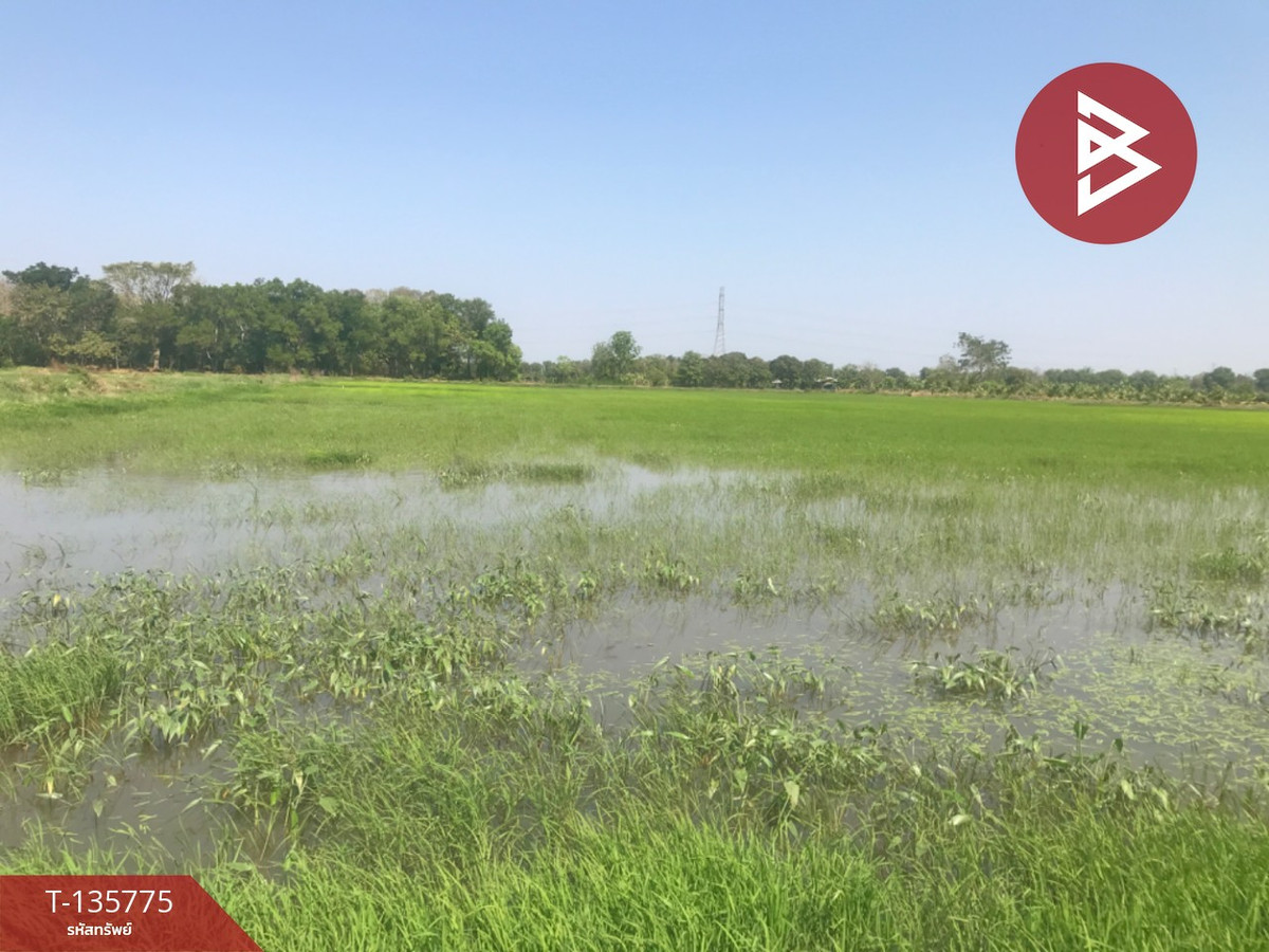 Land for sale, area 18 rai 1 ngan 96 sq m, Ban Pho, Chachoengsao. Land for sale, area 18 rai 1 ngan 96 sq m, Ban Pho, Chachoengsao.
