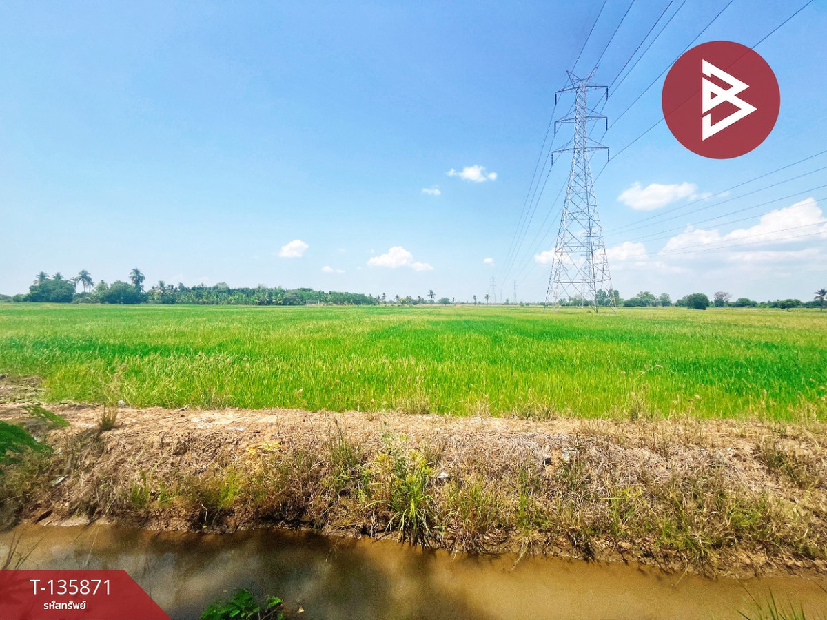 ขายที่ดิน เนื้อที่ 6 ไร่ 3 งาน 25.2 ตร.วา สรรพยา ชัยนาท – รูปที่ 4