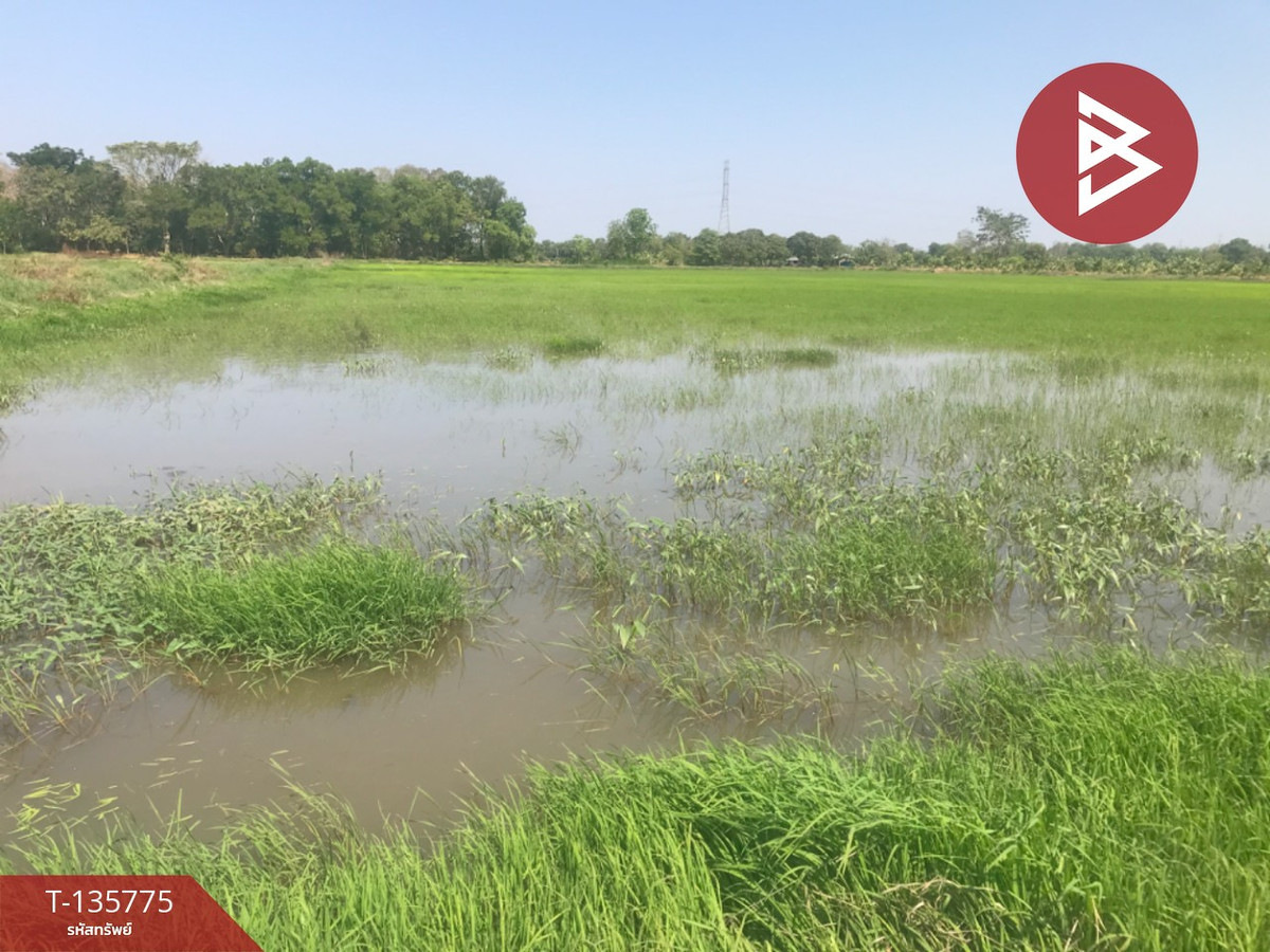 Land for sale, area 18 rai 1 ngan 96 sq m, Ban Pho, Chachoengsao. – รูปที่ 3