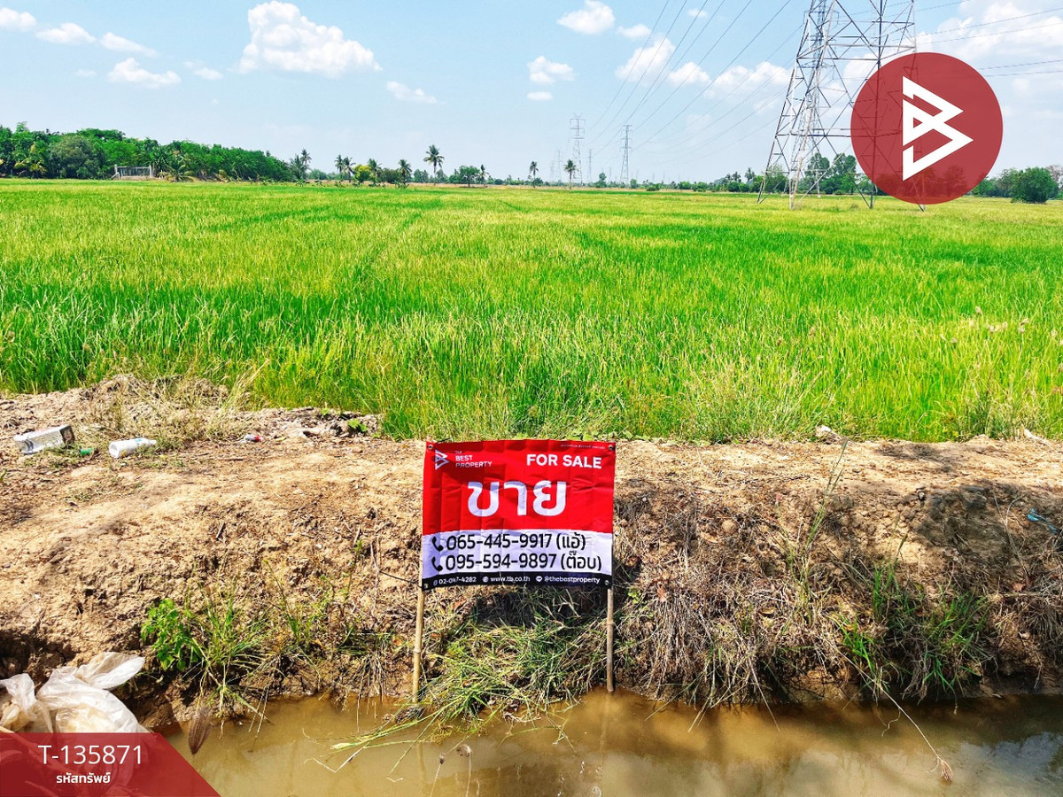 Land for sale, area 6 rai 3 ngan 25.2 sq m, Sapphaya, Chainat. Land for sale, area 6 rai 3 ngan 25.2 sq m, Sapphaya, Chainat.