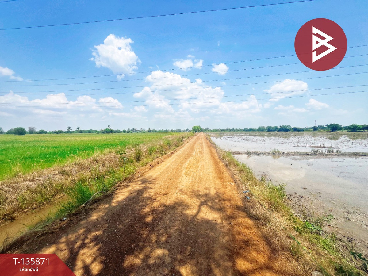 ขายที่ดิน เนื้อที่ 6 ไร่ 3 งาน 25.2 ตร.วา สรรพยา ชัยนาท – รูปที่ 2