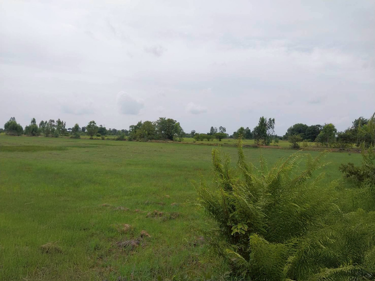 BD 1491 : Outside Roi Et Project – รูปที่ 4