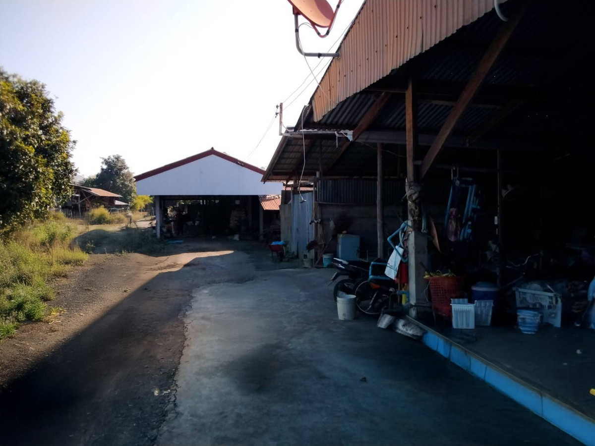 006-0026-068,006-0026-069 : นอกโครงการพิจิตร – รูปที่ 3
