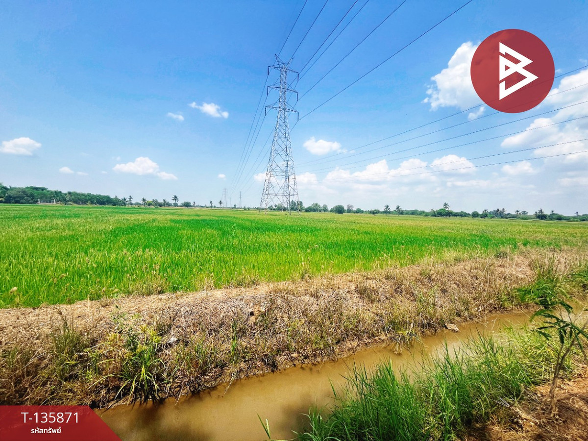ขายที่ดิน เนื้อที่ 6 ไร่ 3 งาน 25.2 ตร.วา สรรพยา ชัยนาท – รูปที่ 3