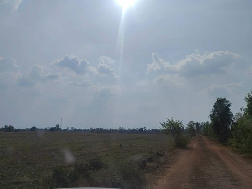 BD 1491 :  นอกโครงการ้อยเอ็ด 