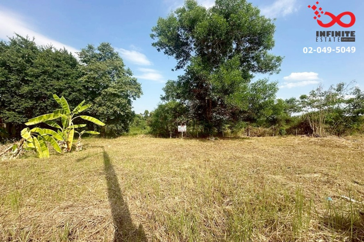 Land for sale 153.4 sq m. Theptarin Village. Rangsit-Nakhon Nayok, Khlong 12, Thanyaburi, Pathum Thani – รูปที่ 4