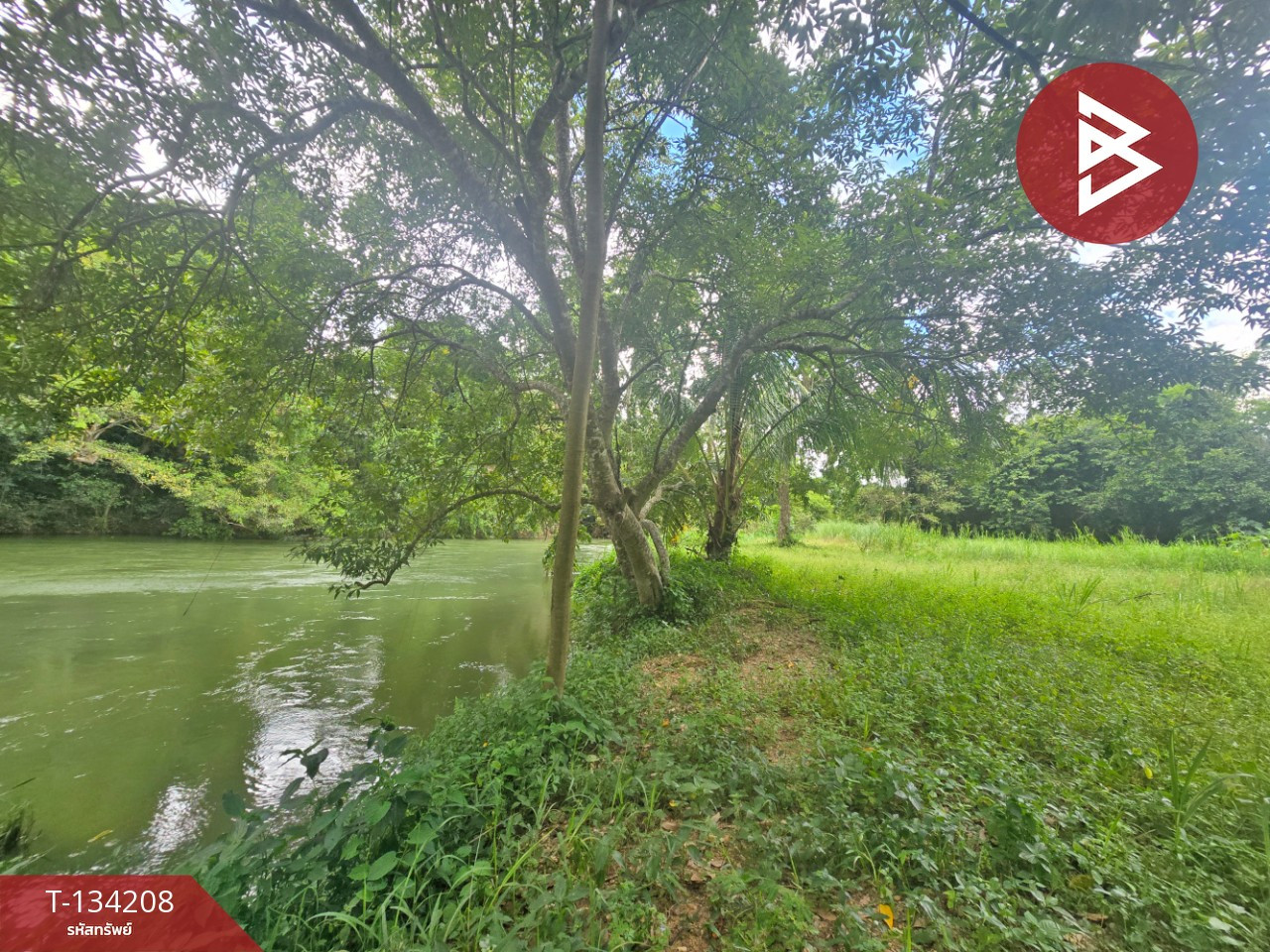 ขายที่ดิน เนื้อที่ 6 ไร่ 1 งาน 50 ตร.วา แก่งกระจาน เพชรบุรี – รูปที่ 4
