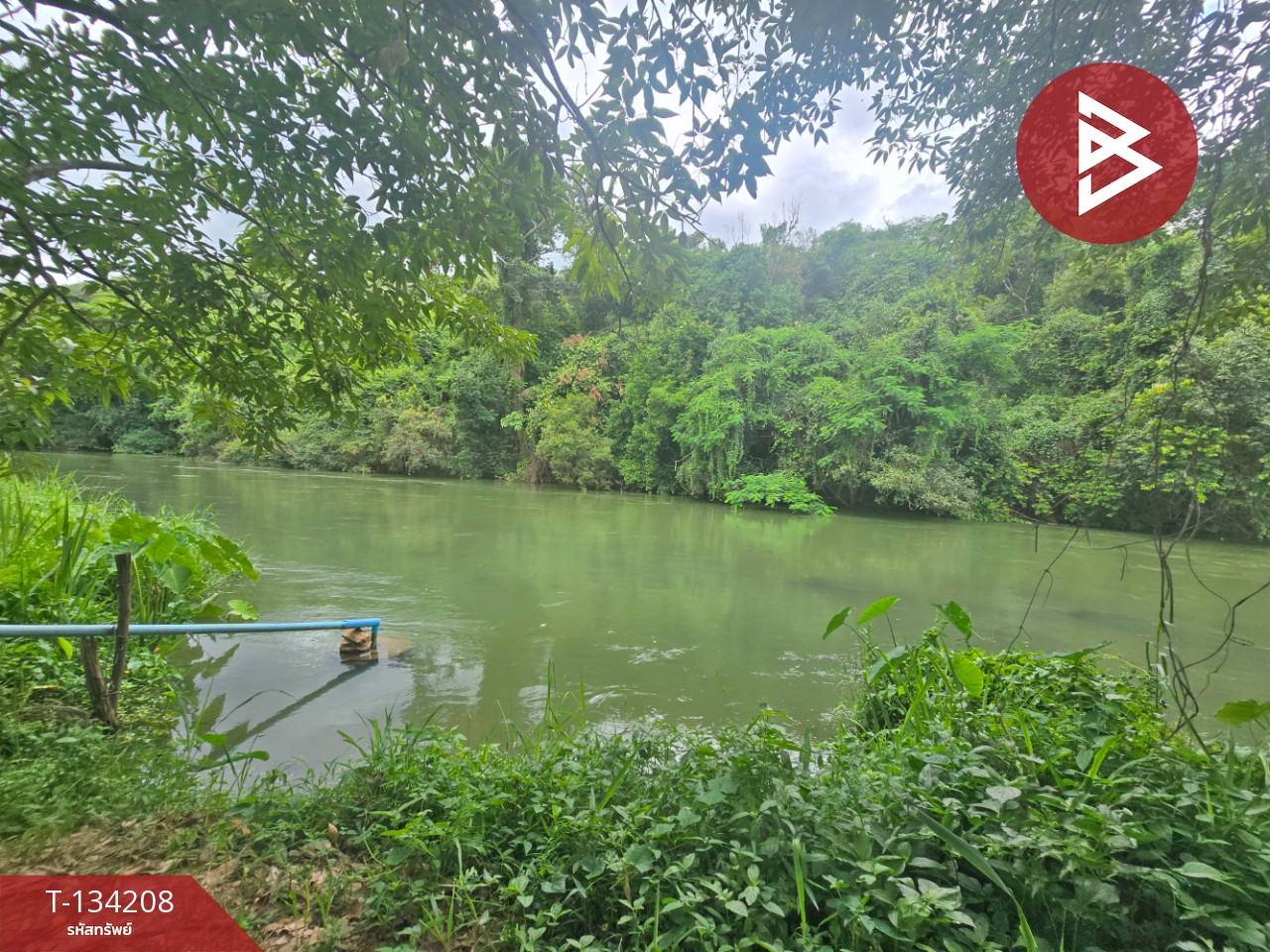 ขายที่ดิน เนื้อที่ 6 ไร่ 1 งาน 50 ตร.วา แก่งกระจาน เพชรบุรี – รูปที่ 3