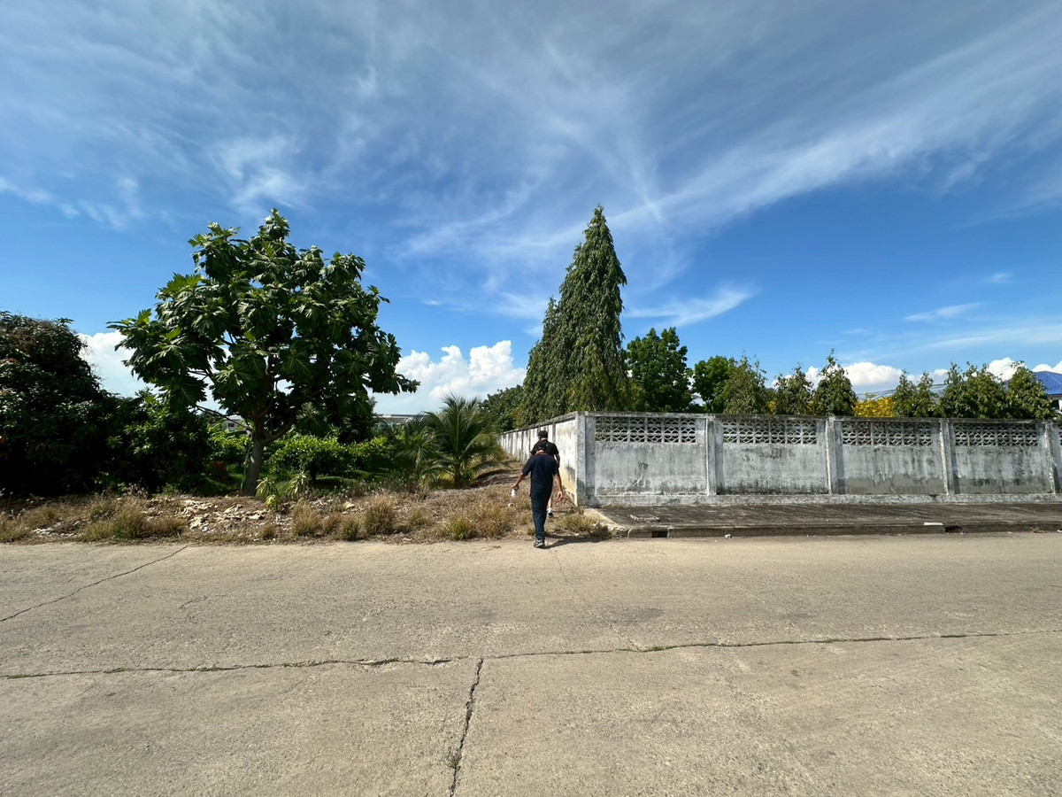 ขายที่ดินซอยรวมญาติ 8-0-72 ไร่ (บางบอน3) – รูปที่ 2