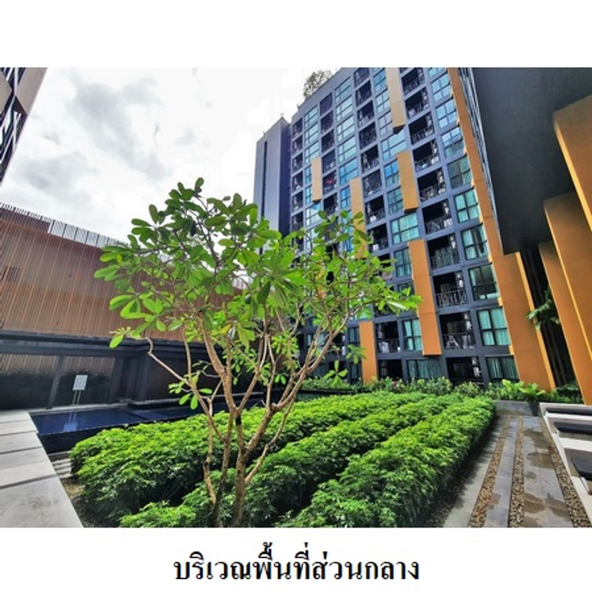 ขายคอนโดเดอะ เบส ไฮท์  อ.เมือง  ภูเก็ต – รูปที่ 4
