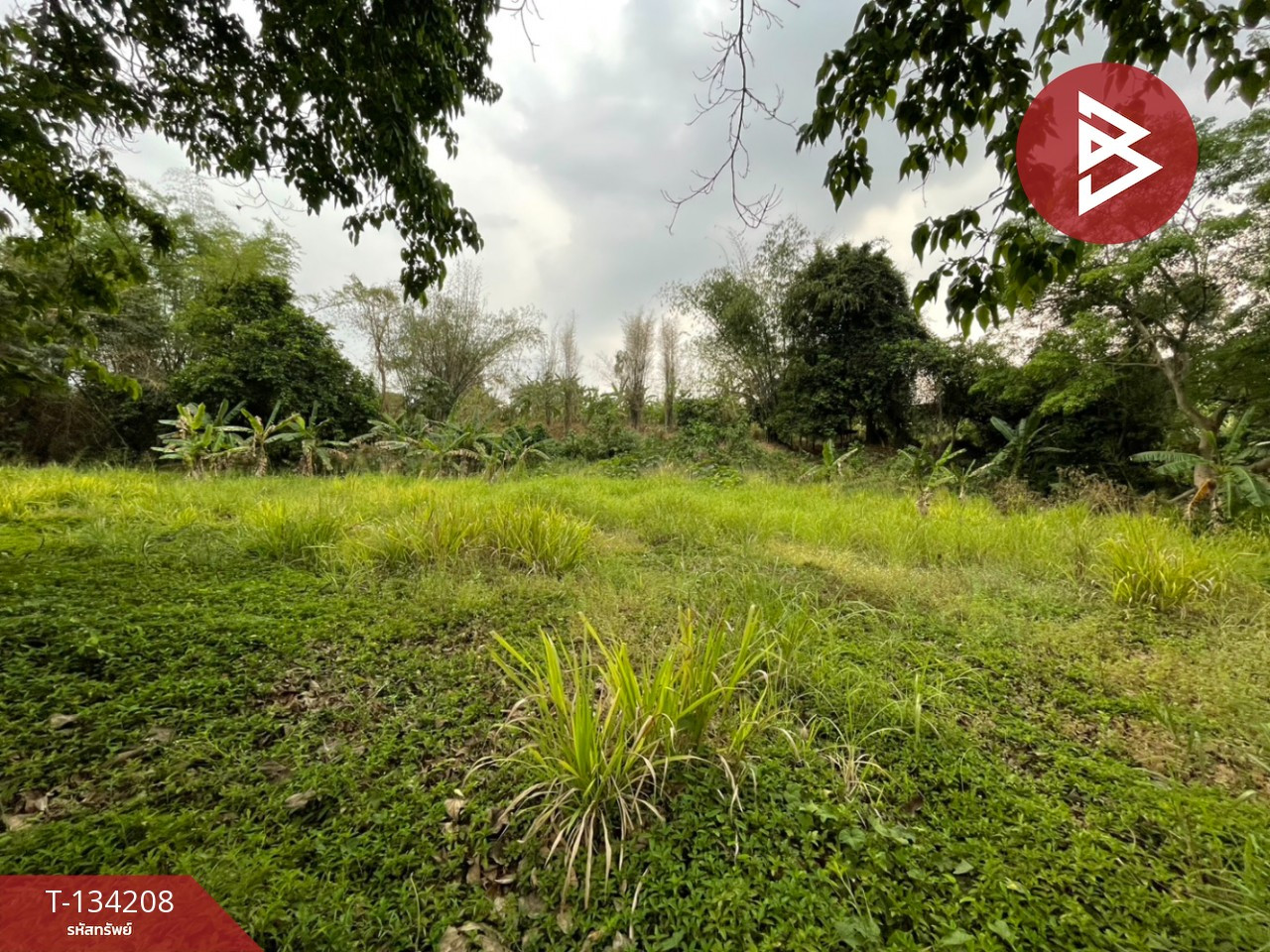 ขายที่ดิน เนื้อที่ 6 ไร่ 1 งาน 50 ตร.วา แก่งกระจาน เพชรบุรี – รูปที่ 2