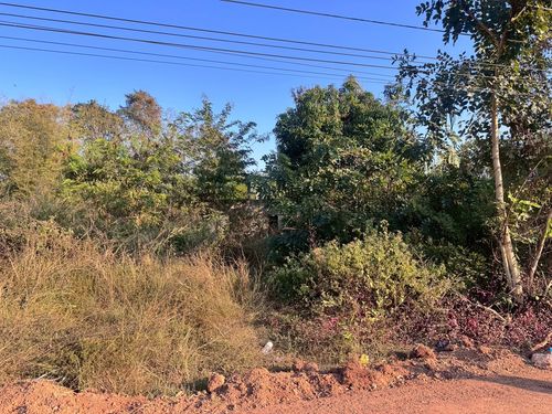 BG 19519 : นอกโครงการหนองคาย