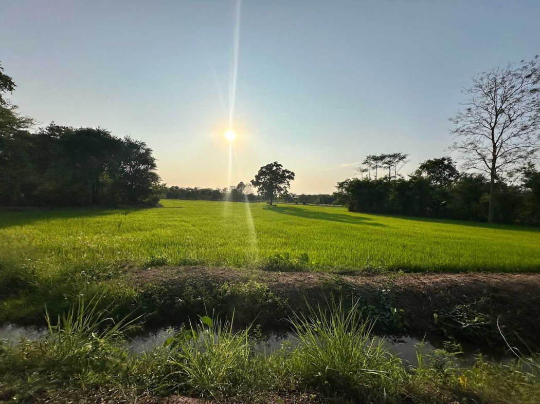 Land for sale in a prime location near Khon Kaen city, 2 rai (approximately 0.8 acres), near Farm Pluk Suk Farm & Café. – รูปที่ 2