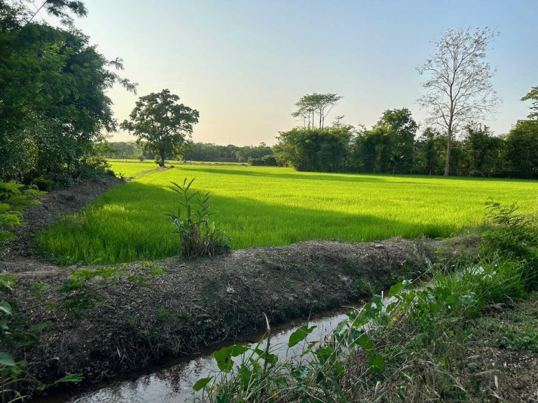 Land for sale in a prime location near Khon Kaen city, 2 rai (approximately 0.8 acres), near Farm Pluk Suk Farm & Café. – รูปที่ 4