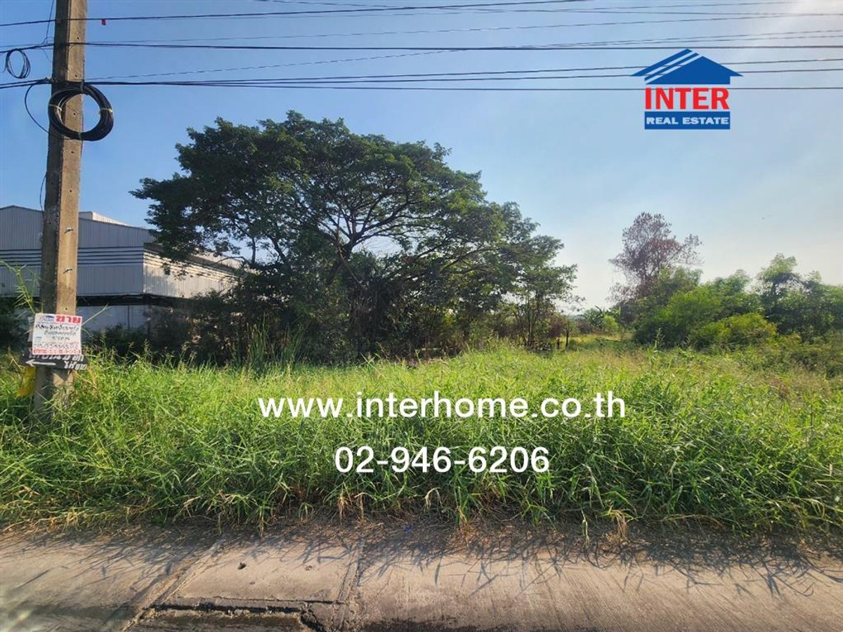 ที่ดินเปล่า 800 ตร.ว. ที่ดิน ใกล้ Lazada Express Hub คลองหลวง ซอยคลองสี่ตะวันออก47 ถนนกาญจนาภิเษก ถนนคลองสี่ คลองหลวง ปทุมธานี – รูปที่ 2