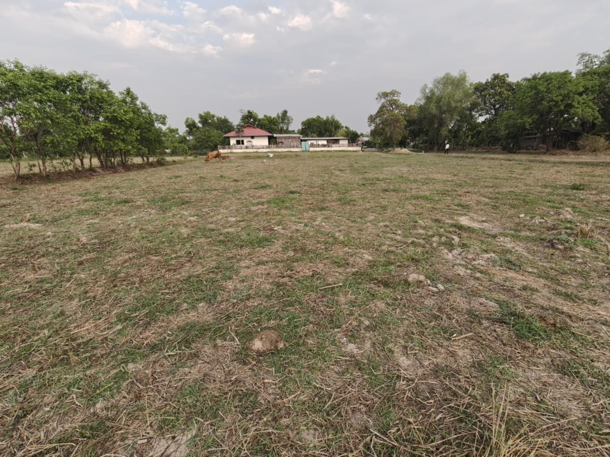 Land for sale, already filled in, Ubon Ratchathani, only 1.5 million baht, free transfer, very good price, suitable for buying, keeping or building a house immediately! (N.2029) Land for sale, already filled in, Ubon Ratchathani, only 1.5 million baht, free transfer, very good price, suitable for buying, keeping or building a house immediately! (N.2029)