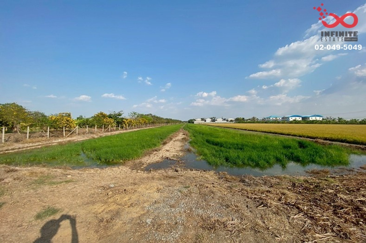 ขายที่ดิน 6 ไร่ ลาดหลุมแก้ว ปทุมธานี ถนนบางบัวทอง-สุพรรณบุรี 340 ซอยคลองโซน 6   – รูปที่ 3