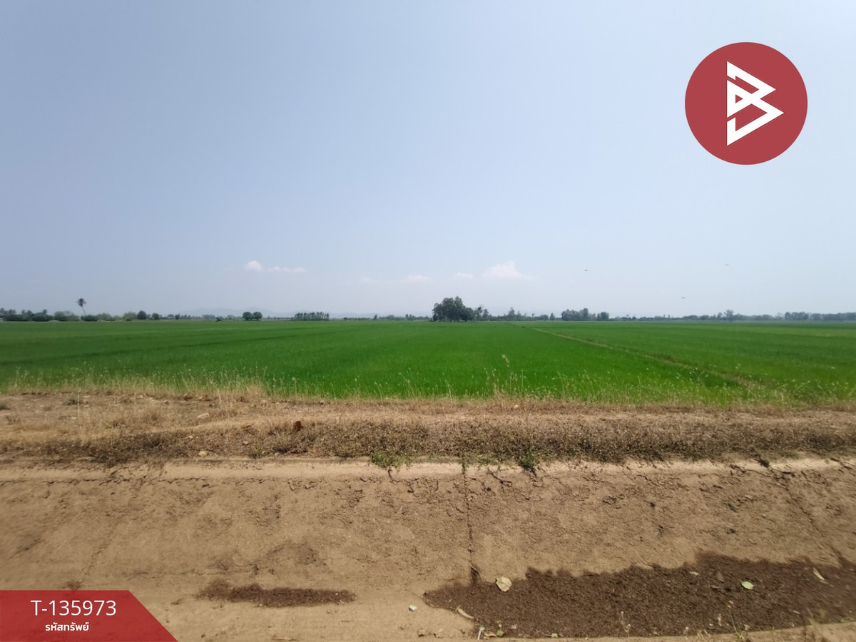 ขายที่ดิน เนื้อที่ 8 ไร่ 52 ตร.วา พิชัย อุตรดิตถ์ – รูปที่ 4