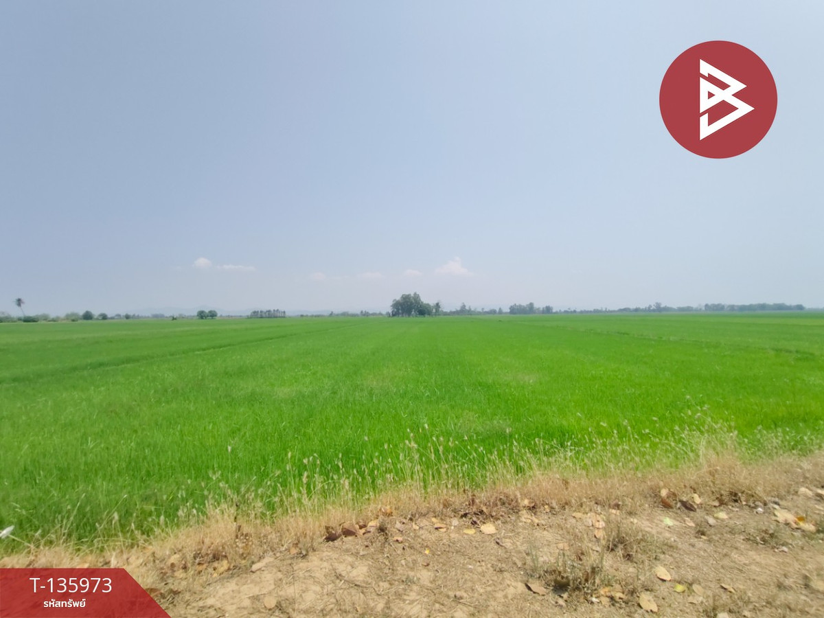 ขายที่ดิน เนื้อที่ 8 ไร่ 52 ตร.วา พิชัย อุตรดิตถ์ – รูปที่ 2