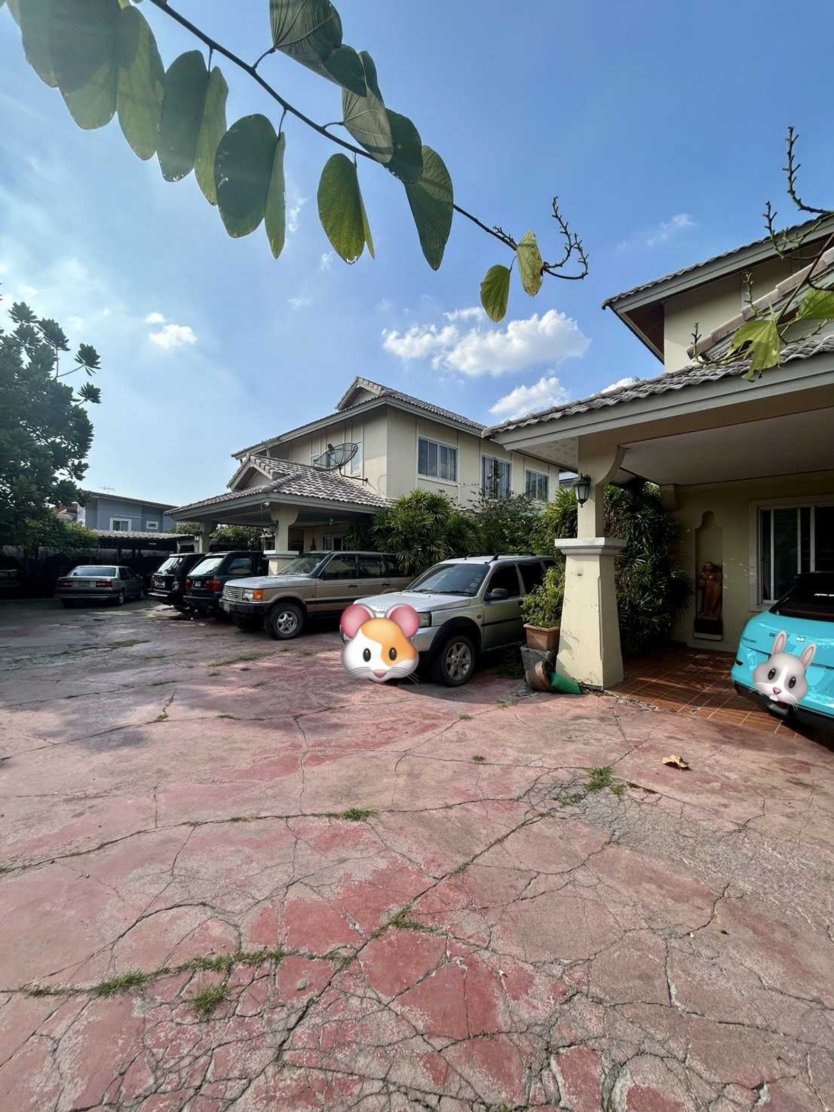 ขายบ้านเดี่ยว หมู่บ้านชาวฟ้า 2 งาน 72 ตร.ว. ใกล้ ตลาดบุญร่มเย็น – รูปที่ 3