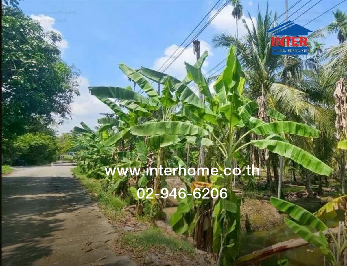 Vacant land 2 rai 46 sq m. land near Som O Community Enterprise, Nakhon Chai Si Province. Land near Wat Rai Khing, Phetkasem Road, Sam Phran, Nakhon Pathom. Vacant land 2 rai 46 sq m. land near Som O Community Enterprise, Nakhon Chai Si Province. Land near Wat Rai Khing, Phetkasem Road, Sam Phran, Nakhon Pathom.