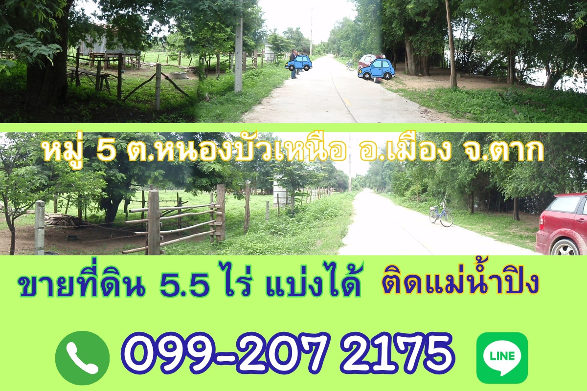 Land for sale, 5.5 rai, can be divided, next to the Ping River, Nong Bua Nuea Subdistrict, Mueang District, Tak Province, near the new bridge beside the Ping River. Land for sale, 5.5 rai, can be divided, next to the Ping River, Nong Bua Nuea Subdistrict, Mueang District, Tak Province, near the new bridge beside the Ping River.